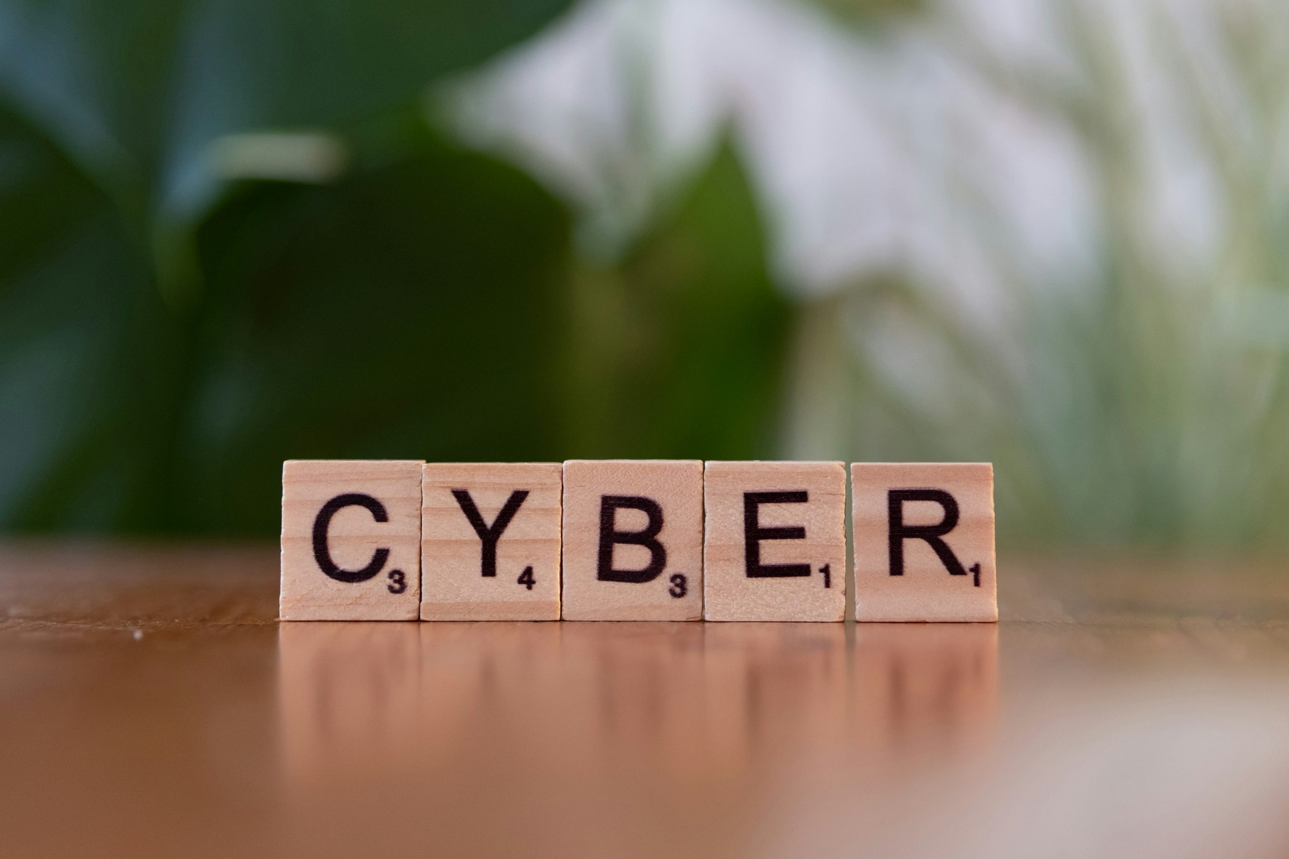 Protect Your Business: Cybersecurity Consultancy Services